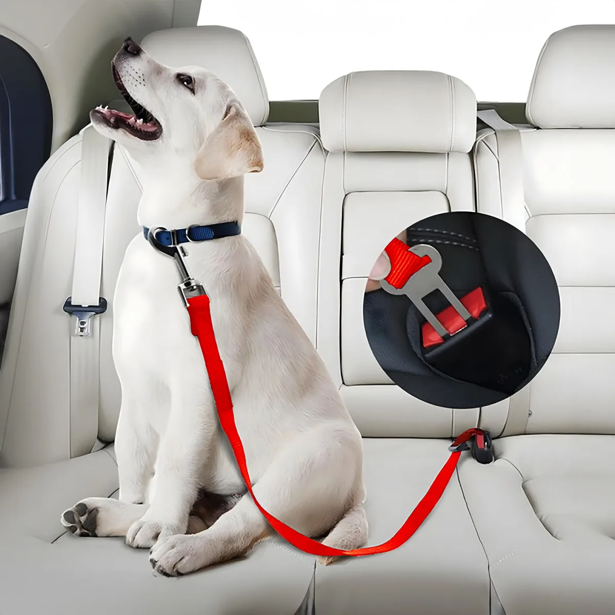 Lesa auto pentru caine cu prindere centura, reglabila 45 70 cm, poliester, rosu albastru negru - imagine 3