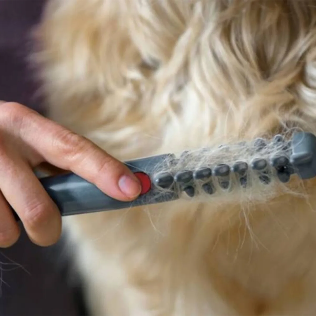 Perie electrica pentru animale, indepartare par si descaltire, pentru caini si pisici, fara durere - imagine 5