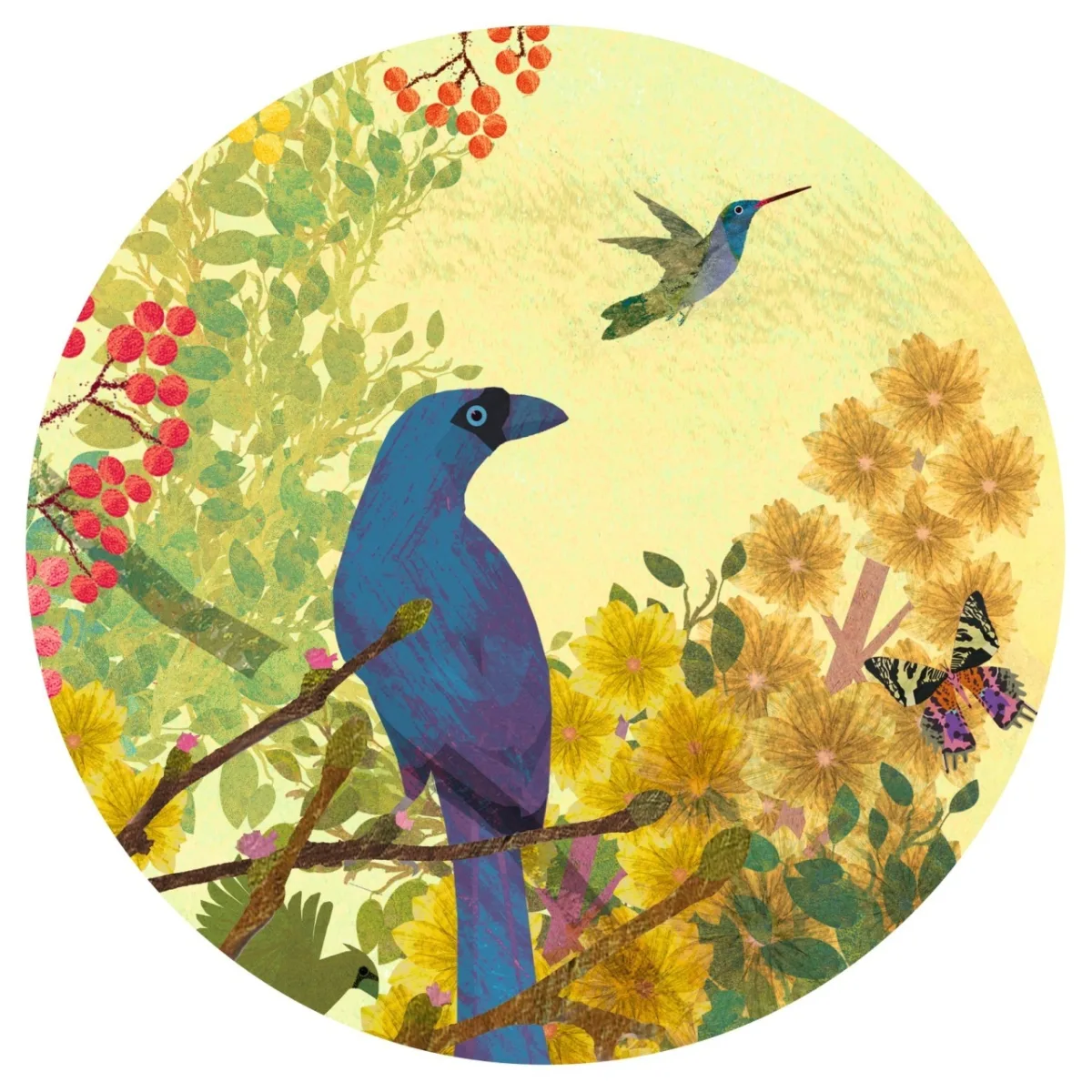 Puzzle galerie Paradis tropical , Djeco - imagine 4