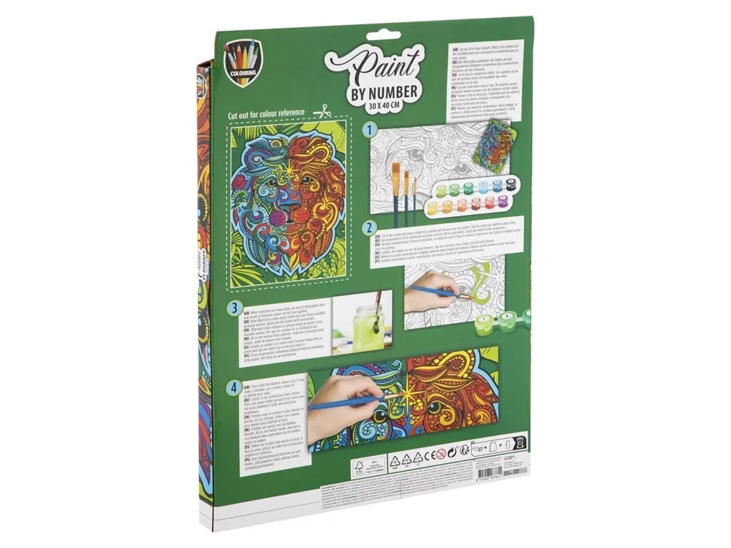Set creativ, Picteaza pe numere, Canvas Leu, Grafix - imagine 2