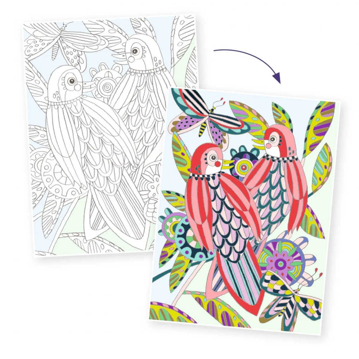 Mapa cu 3 postere de colorat Pasari, Djeco - imagine 4