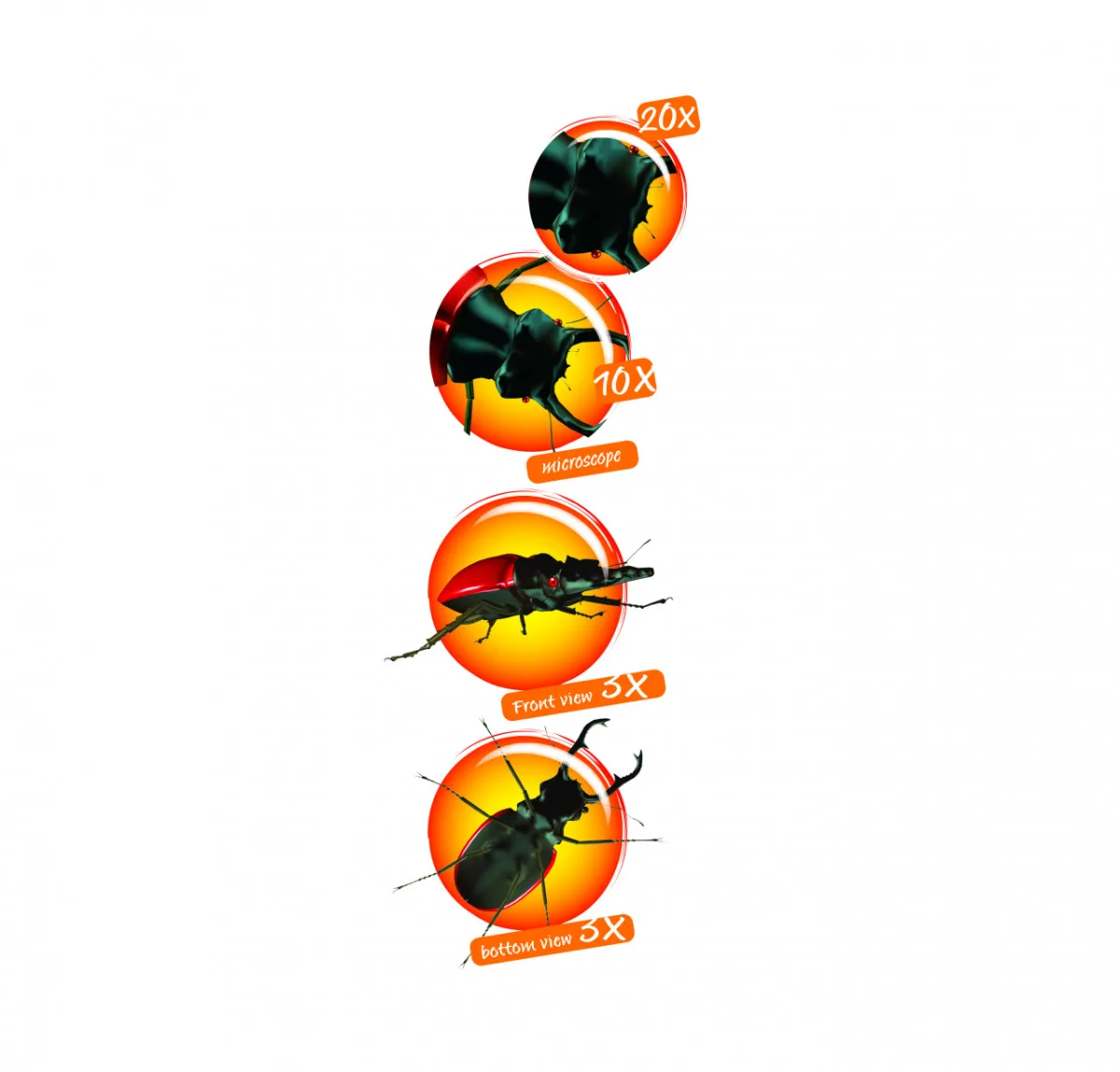 Cutie cu lupa si microscop pentru observarea insectelor, Navir - imagine 2