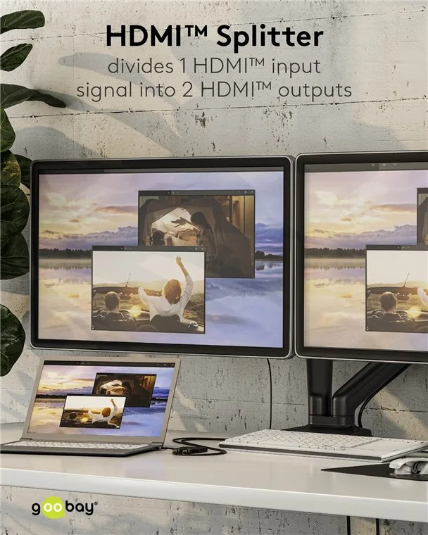 Splitter HDMI V1.4 1 intrare la 2 iesiri 4K30Hz 1080p60Hz Goobay 58480 - imagine 4