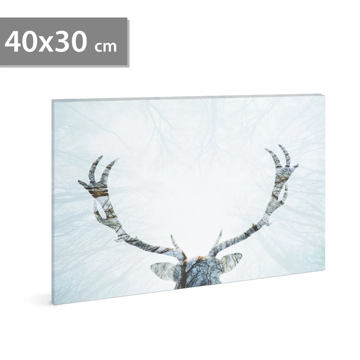 Tablou LED Craciun ren 40 x 30 cm, decor perete cu lumina alb cald, baterii 2 x AA