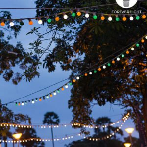 Ghirlanda luminoasa decorativa exterior Forever Light 12m cu 10 becuri LED E27, G45 Alb Roz Albastru IP65