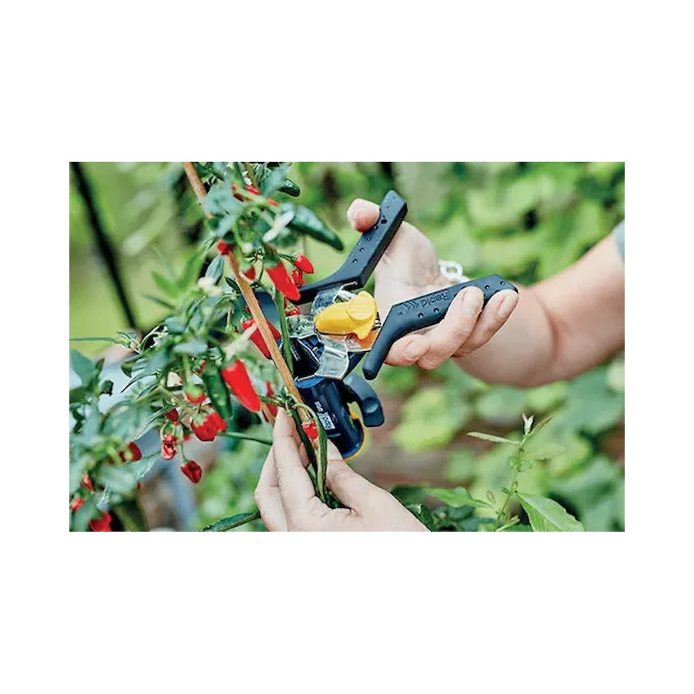 rapid 24311200, cleste pentru gradina gp238, cu magazie, functional cu inele tip vr38 6, 11 si 16mm 8 Rapid 24311200, Cleste pentru gradina GP238, cu magazie, functional cu inele tip VR38 6, 11 si 16mm - imagine 8