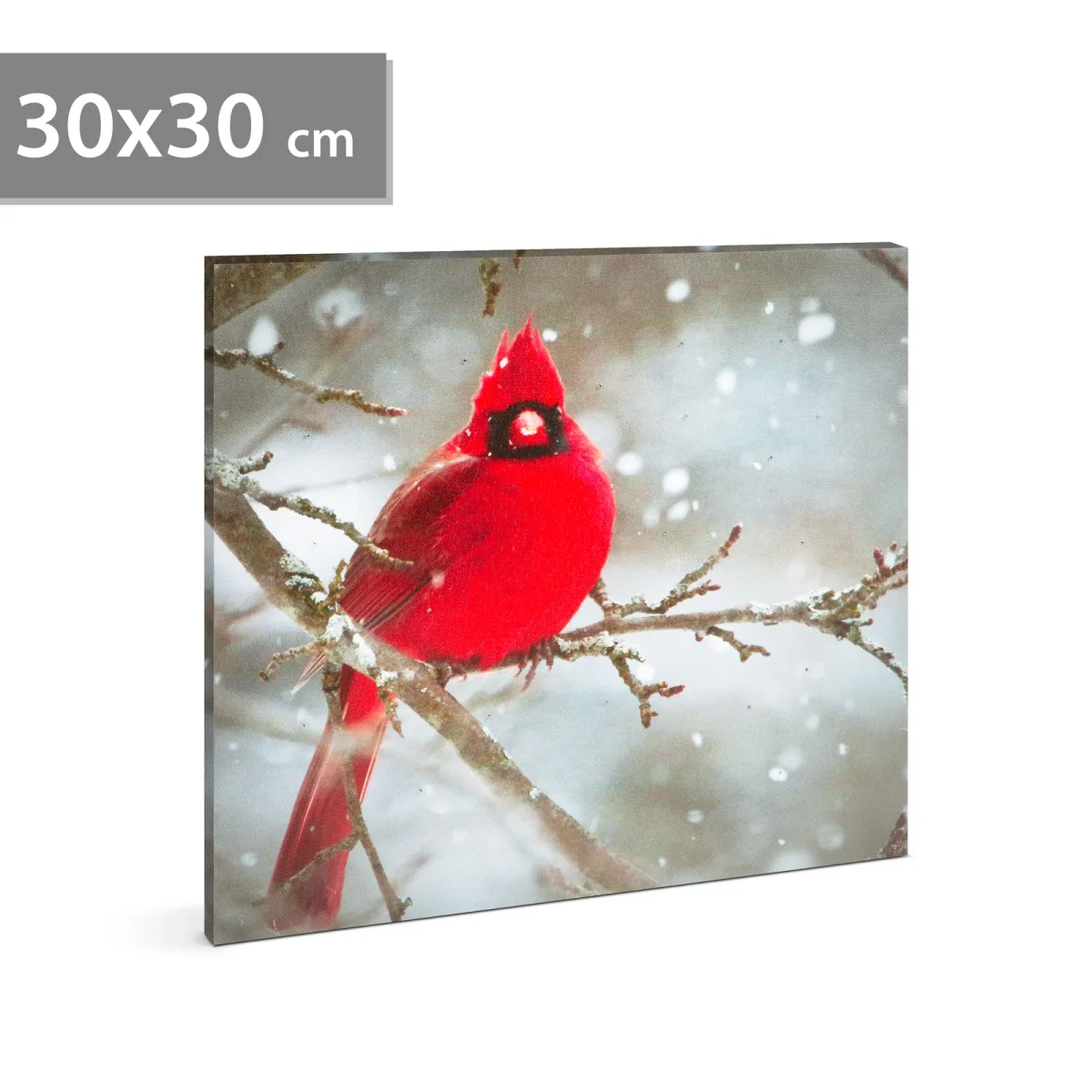 Tablou LED pasare rosie 30 x 30 cm, lumina alb rece, baterii 2 x AA