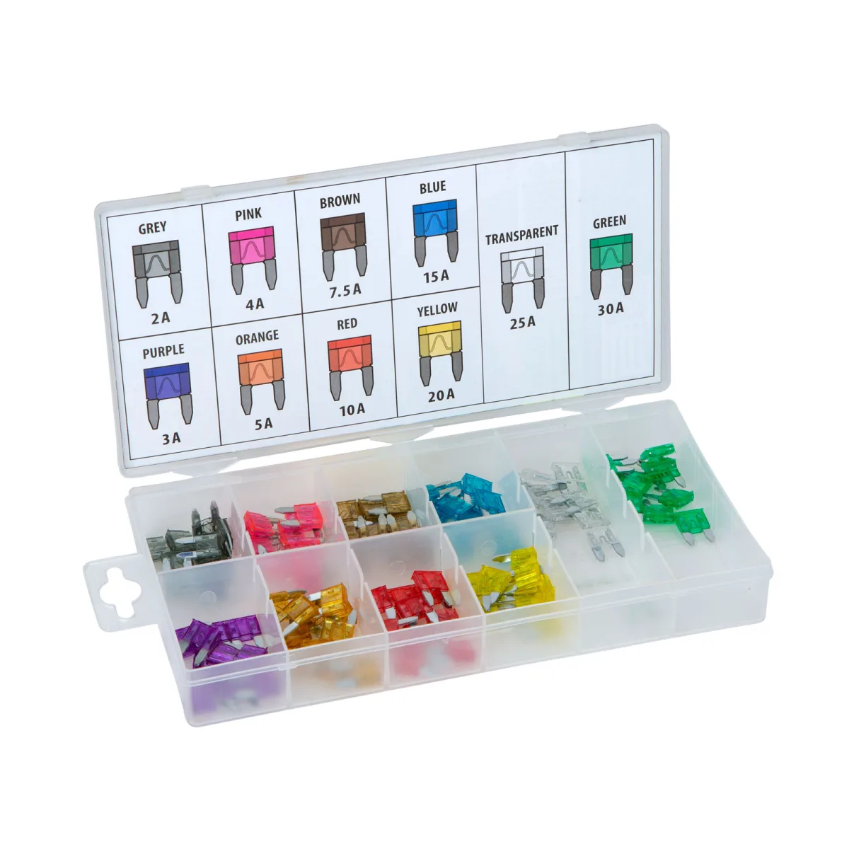 Set Sigurante Auto Mini, 2–30A, 100 buc in Cutie Organizatoare (6–24V)