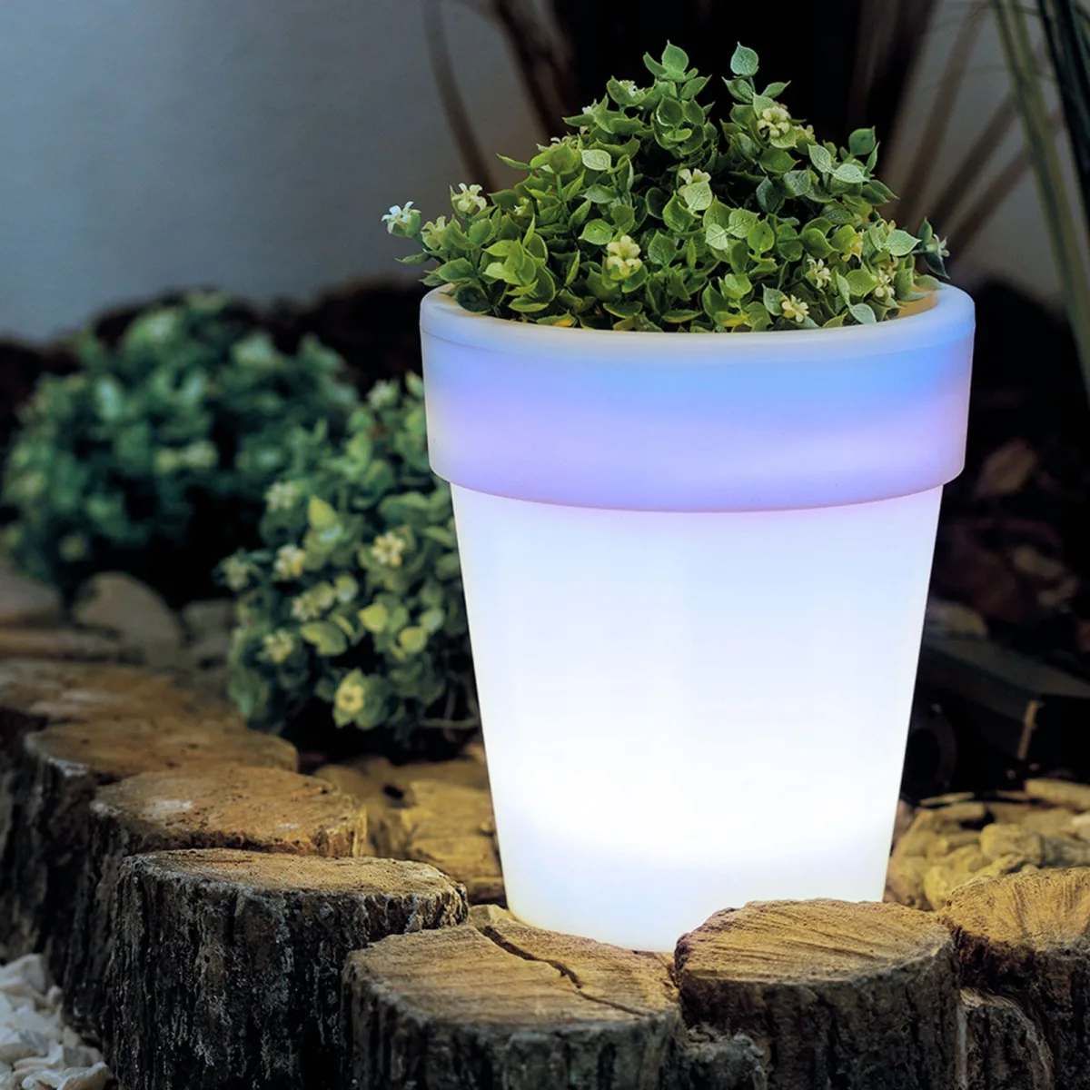 Ghiveci solar LED 4 lumini alb rece, iluminat decorativ gradina, exterior interior, IP44