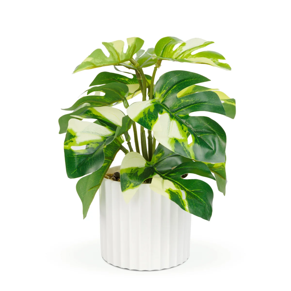 Decor plastic - Filodendron - verde / galben - 20 x 8 cm - imagine 2