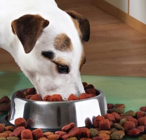 Castron Metalic pentru hranire animale de companie – 29cm