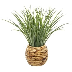 Planta decorativa Atmosphera, iarba in ghiveci impletit, 18×46 cm, maro natur