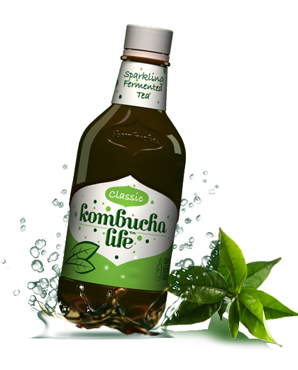 Kombucha Life clasic 500ml