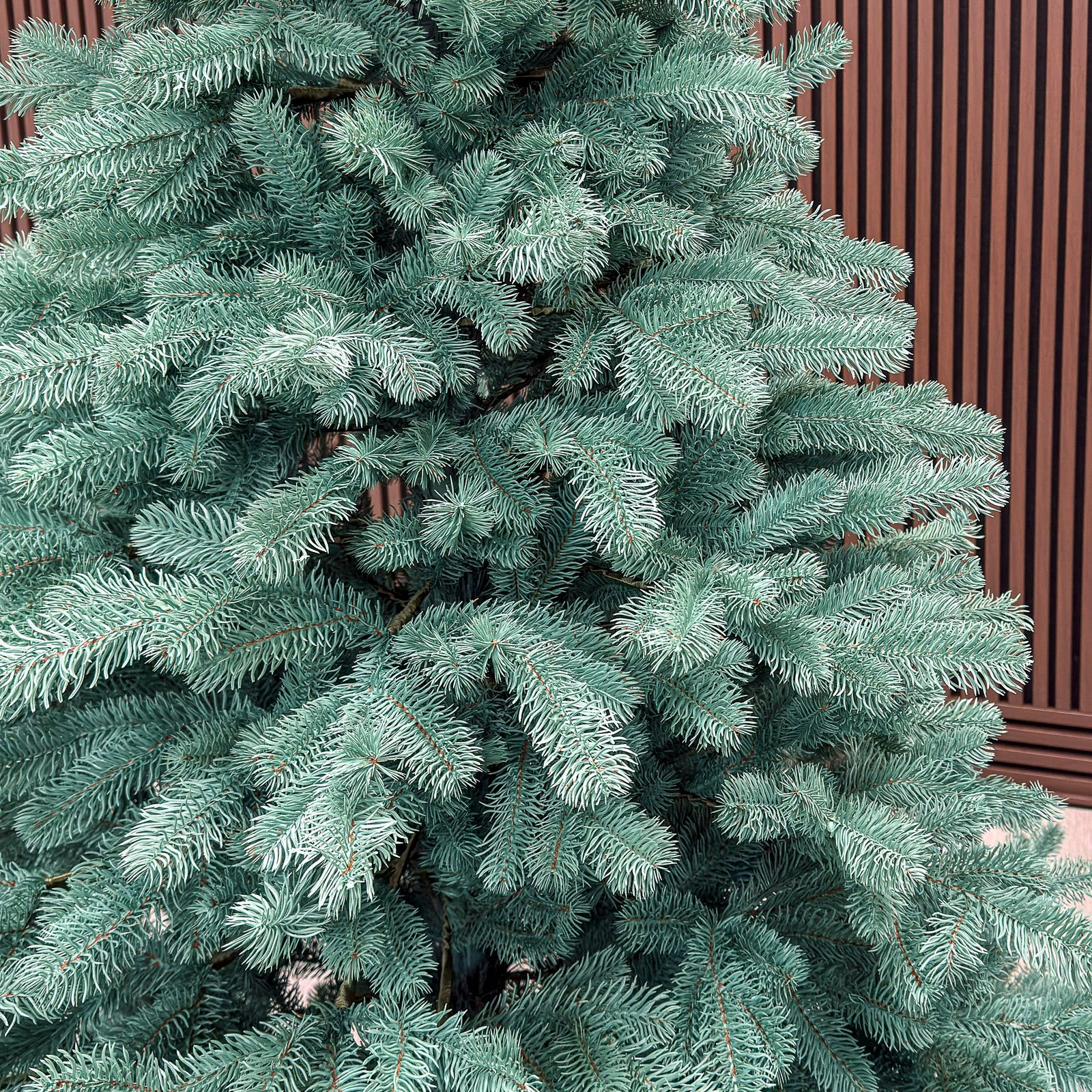 Brad artificial Christmas Deluxe by Sersimo, Kovalivka Select argintiu, integral 3D, 210 cm 4 Brad artificial Christmas Deluxe by Sersimo, Kovalivka Select argintiu, integral 3D, 210 cm - imagine 4