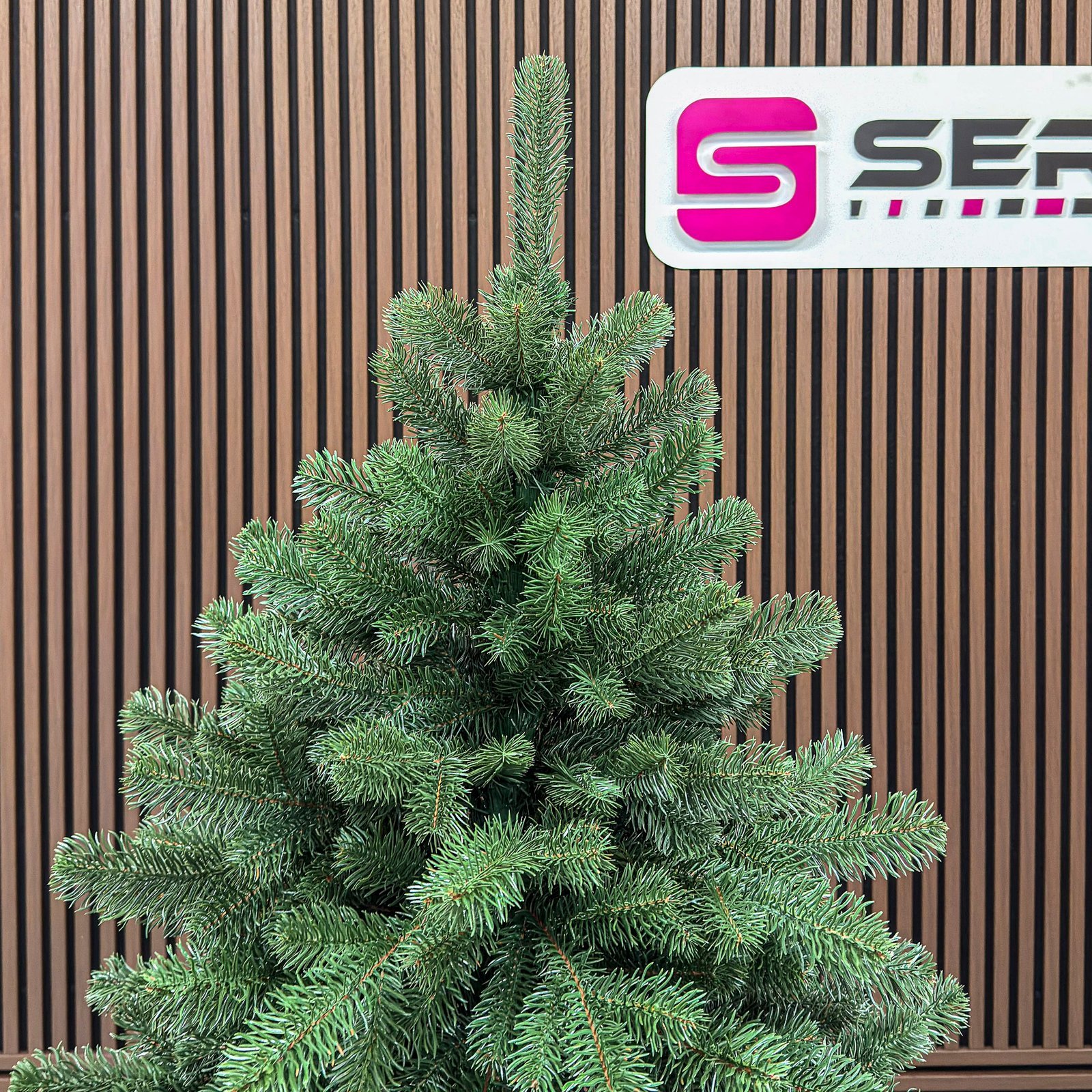 brad artificial christmas deluxe by sersimo, kovalivka select, integral 3d, 180cm 4 Brad artificial Christmas Deluxe by Sersimo, Kovalivka Select, integral 3D, 180cm - imagine 4