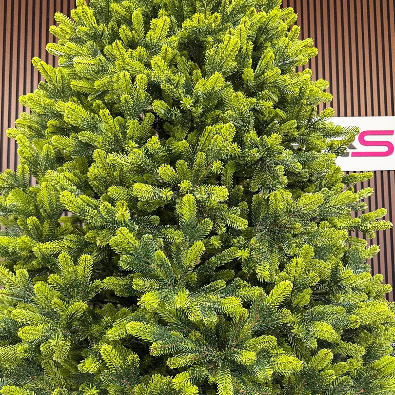 Brad artificial Christmas Deluxe by Sersimo, Polar Spring Select, integral 3D, 180 cm 4 Brad artificial Christmas Deluxe by Sersimo, Polar Spring Select, integral 3D, 180 cm - imagine 4