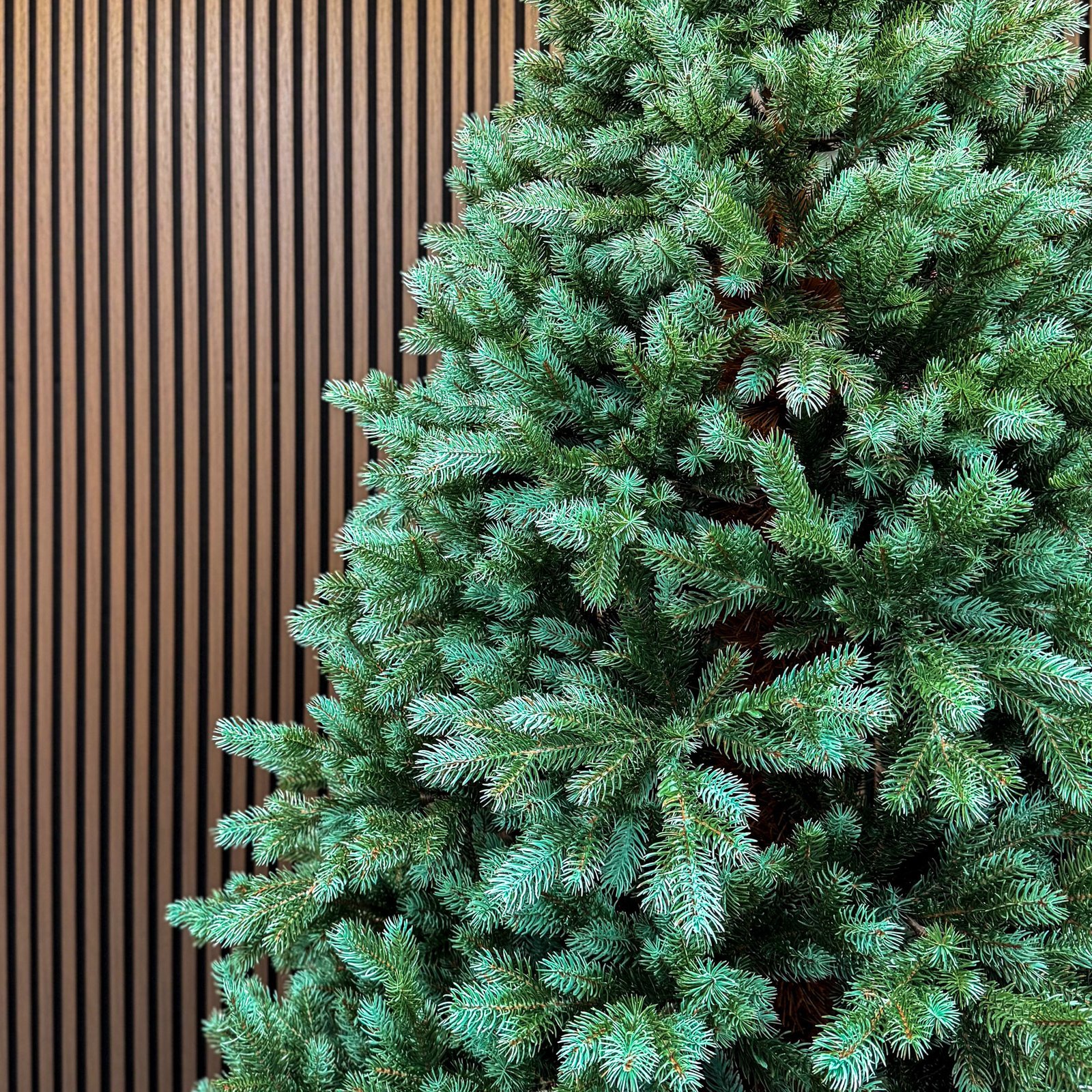 brad artificial sersimo, hollandia, verde cu varfuri argintii, integral 3d, 230 cm 4 Brad artificial Sersimo, Hollandia, verde cu varfuri argintii, integral 3D, 230 cm - imagine 4