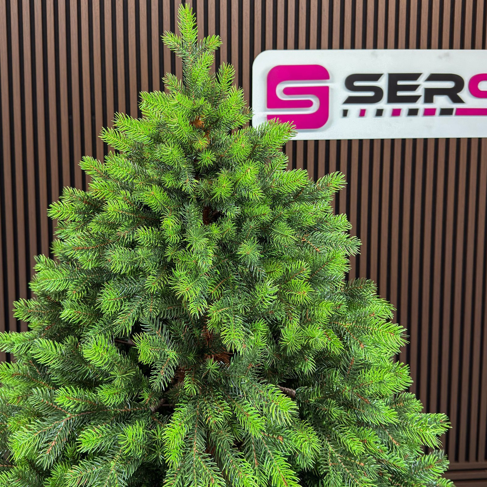 Brad artificial Sersimo, Hollandia, verde cu varfuri verzi, integral 3D, 210 cm 3 Brad artificial Sersimo, Hollandia, verde cu varfuri verzi, integral 3D, 210 cm - imagine 3