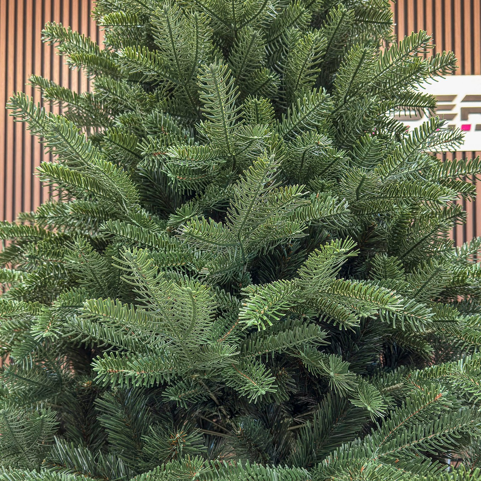 Brad artificial Christmas Deluxe by Sersimo, Norvegia verde, mix 2D+3D, 230 cm 4 Brad artificial Christmas Deluxe by Sersimo, Norvegia verde, mix 2D+3D, 230 cm - imagine 4