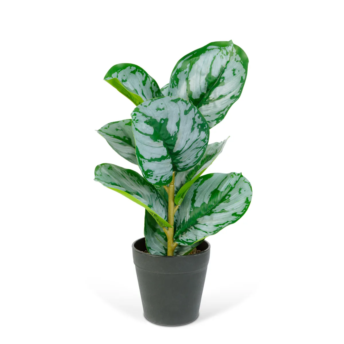 Planta artificiala frunze zebra 34 cm, verde alb, in ghiveci, decor casa birou modern - imagine 2