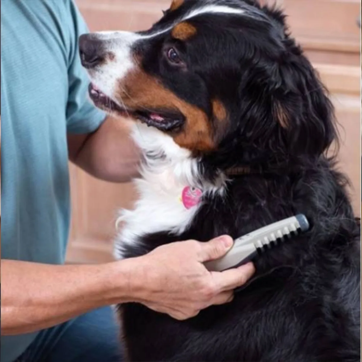 Perie electrica pentru animale, indepartare par si descaltire, pentru caini si pisici, fara durere - imagine 6