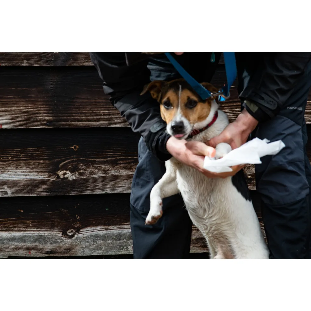 Servetele umede UltraGrime Pet Clothwipes, 38 cm x 25 cm, 80 de bucati - imagine 6