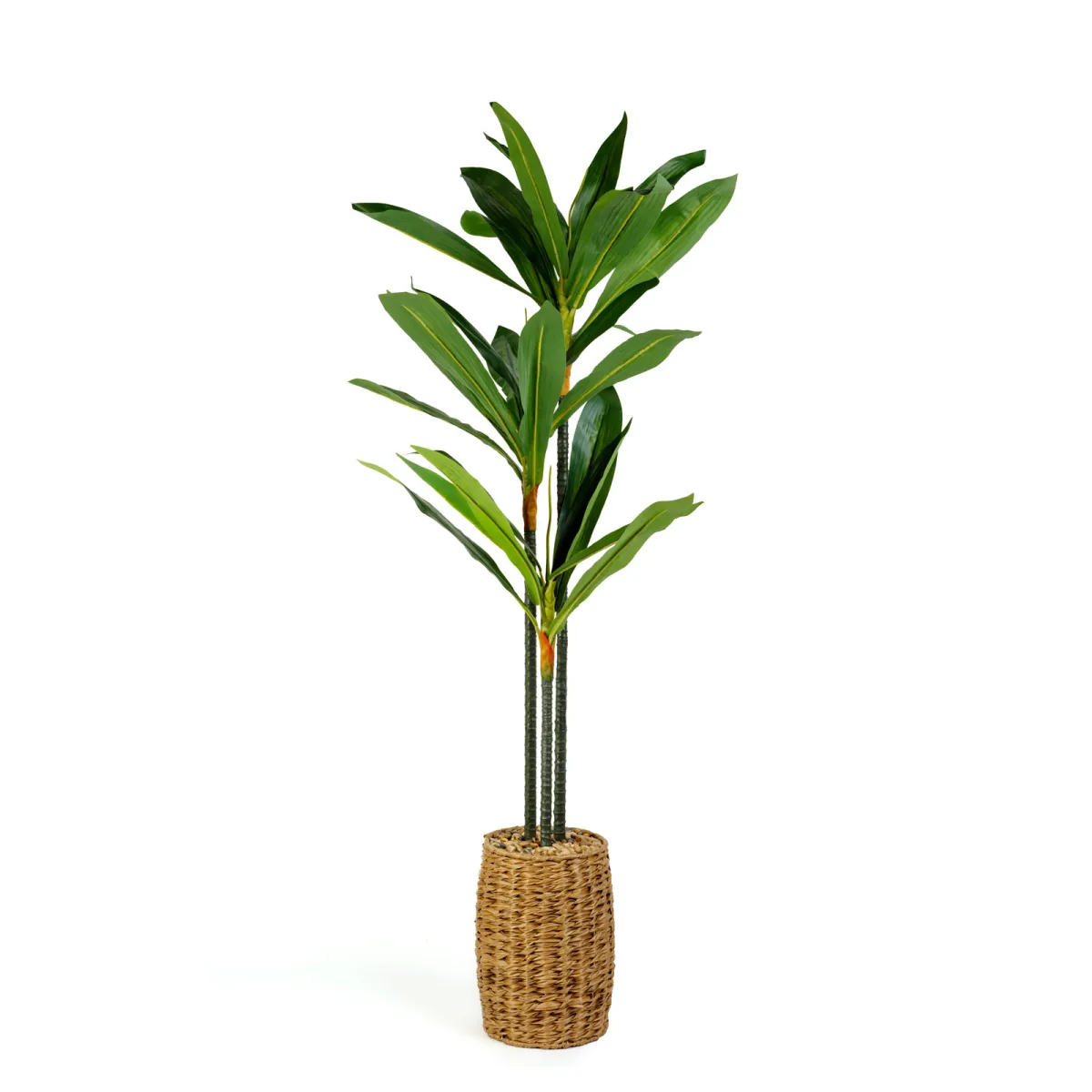 Planta artificiala Dracaena Fragrans 110-120 cm, decor interior, planta decorativa verde, PVC realist - imagine 2