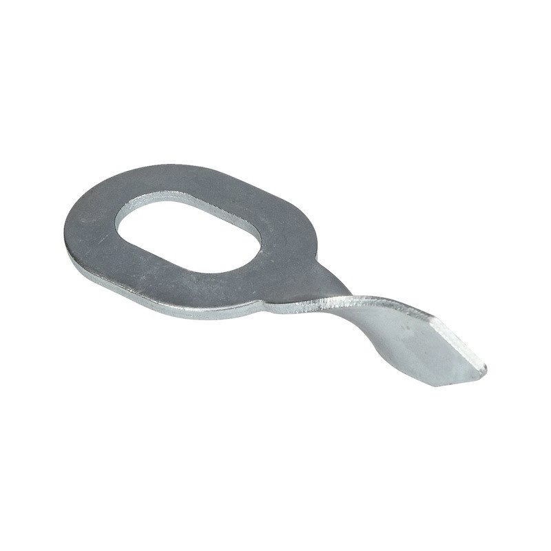 SAIBA OVALA CU COADA RASUCITA