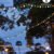 Ghirlanda luminoasa decorativa exterior Forever Light 12m cu 10 becuri LED E27, G45 Alb Roz Albastru IP65